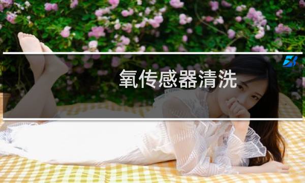 氧传感器清洗 - 卡罗拉清洗前氧传感器教程