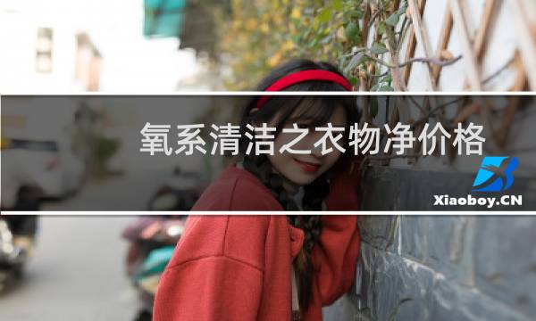氧系清洁之衣物净价格 - 净态氧系清洁产品