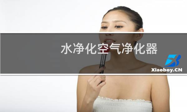 水净化空气净化器 - 用水过滤的空气净化器