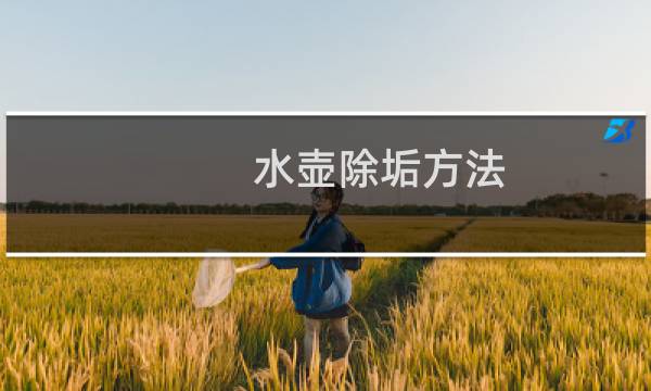 水壶除垢方法 - 烧水壶怎样去水垢最简单方法
