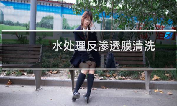 水处理反渗透膜清洗 - 反渗透膜可以清洗吗