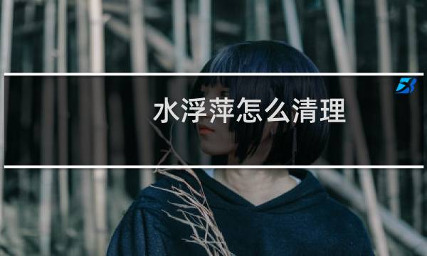 水浮萍怎么清理 - 浮萍清理机