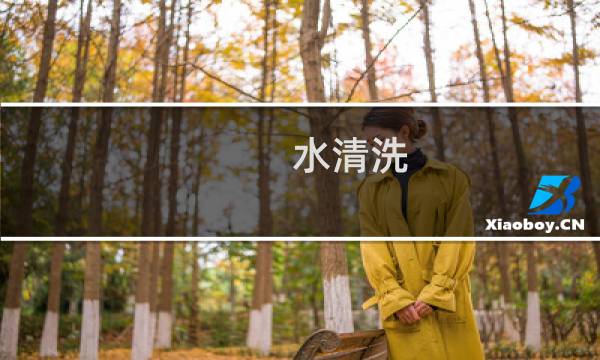 水清洗 - 洗管水