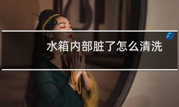 水箱内部脏了怎么清洗 - 什么可以清洗汽车水箱内部