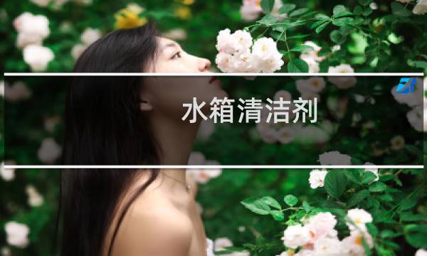 水箱清洁剂 - 水箱 清洁剂 成分