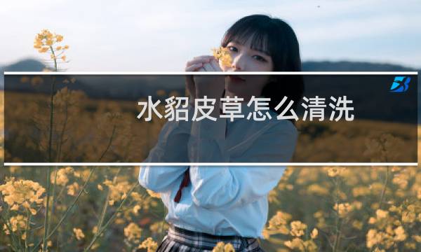 水貂皮草怎么清洗 - 水貂皮草自己在家里怎么洗