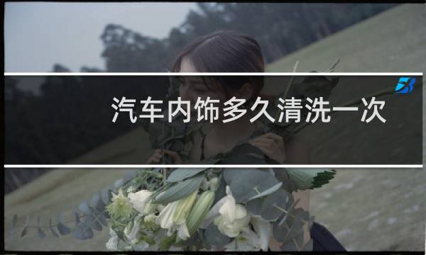 汽车内饰多久清洗一次 - 汽车多久内饰精洗一次