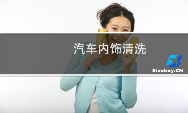 汽车内饰清洗 - 全车室内大清洗多少钱