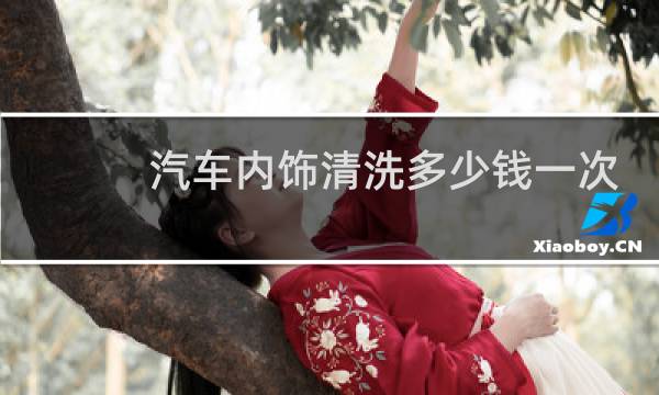汽车内饰清洗多少钱一次 - 30块钱洗车包括洗车内吗