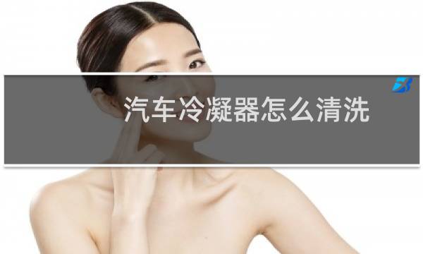 汽车冷凝器怎么清洗 - 汽车冷凝器上的蚊虫怎么清洗