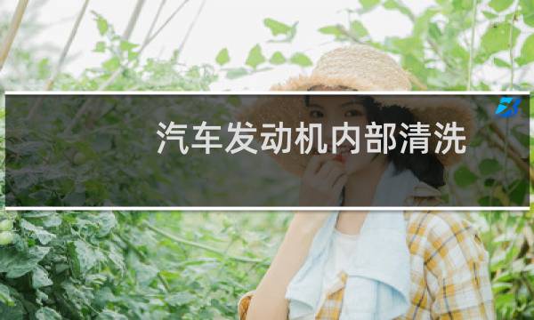 汽车发动机内部清洗 - 被4s坑了发动机清洗