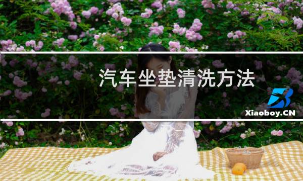 汽车坐垫清洗方法 - 汽车座套脏了怎么清洗