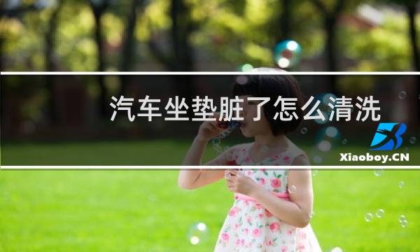 汽车坐垫脏了怎么清洗 - 汽车坐垫脏了怎么擦