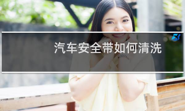 汽车安全带如何清洗 - 米色安全带脏了怎么洗