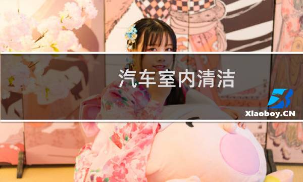 汽车室内清洁 - 汽车内饰清洗价格