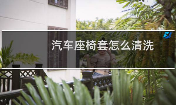汽车座椅套怎么清洗 - 汽车拆座椅洗叫什么