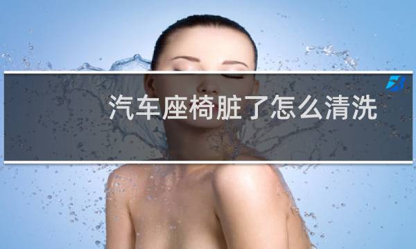 汽车座椅脏了怎么清洗 - 汽车座椅上粪便清洗