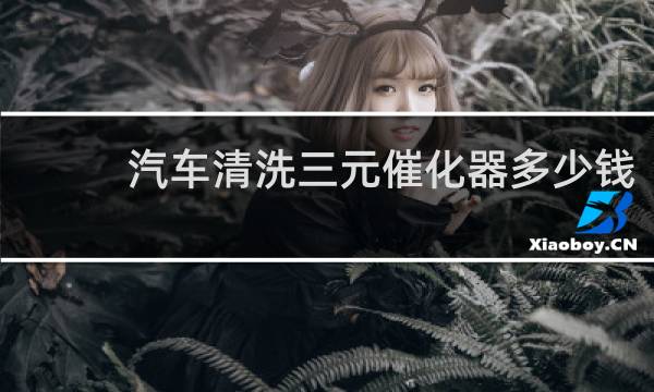 汽车清洗三元催化器多少钱 - 路边店清洗三元催化器多少钱