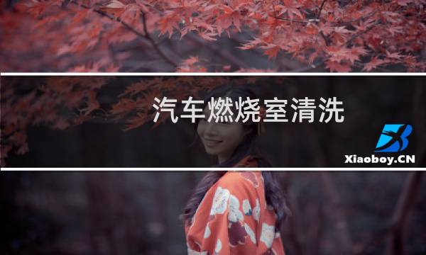 汽车燃烧室清洗 - 汽车燃烧室清洗方法