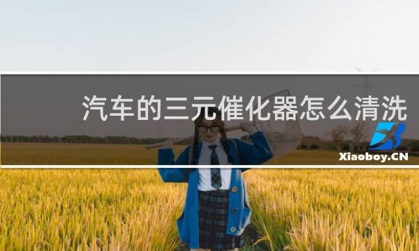 汽车的三元催化器怎么清洗 - 最正确的清洗三元催化器方法