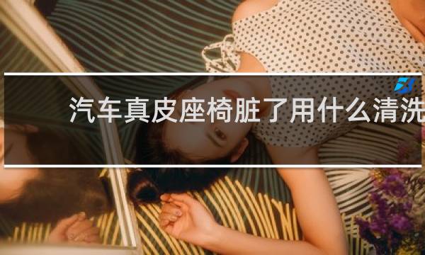 汽车真皮座椅脏了用什么清洗 - 真皮座椅上沾了屎