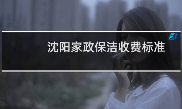 沈阳家政保洁收费标准 - 沈阳看护老人保姆价格