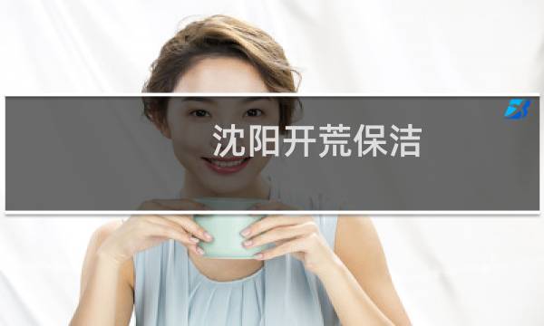沈阳开荒保洁 - 沈阳专业保洁哪家好