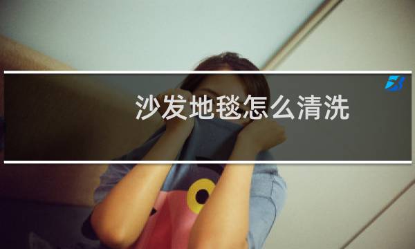沙发地毯怎么清洗 - 沙发地毯保洁