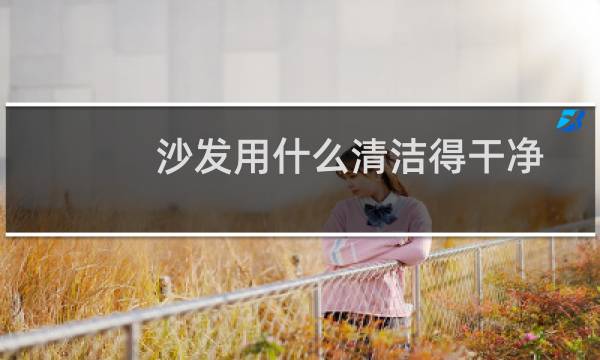 沙发用什么清洁得干净 - 布艺沙发用什么清洁得干净