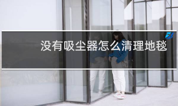 没有吸尘器怎么清理地毯 - 地毯没有吸尘器该怎么打理