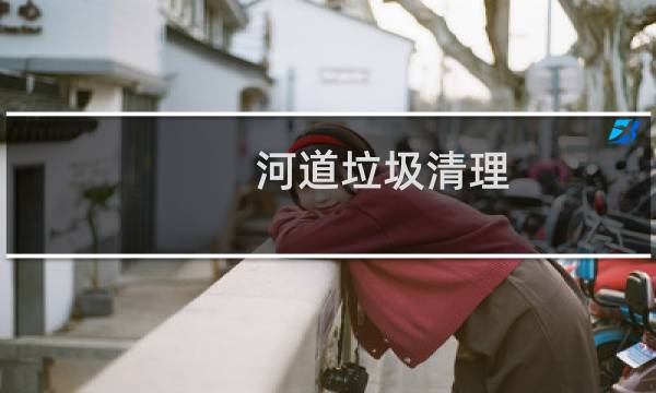 河道垃圾清理 - 河道垃圾清理 项目