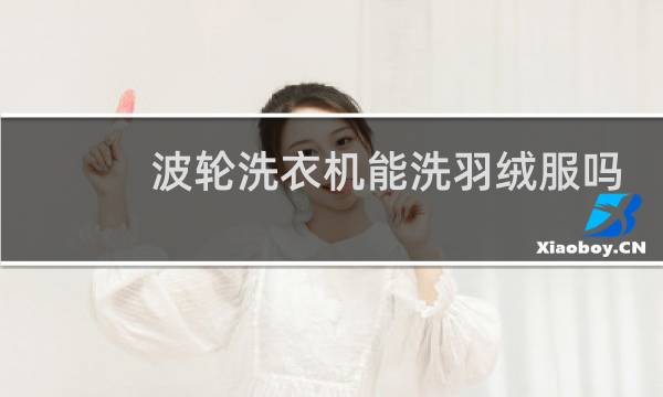 波轮洗衣机能洗羽绒服吗 - 哪款波轮洗衣机可以洗羽绒服