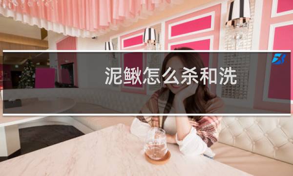 泥鳅怎么杀和洗 - 杀泥鳅正确方法最快