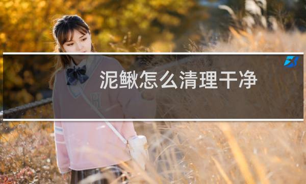 泥鳅怎么清理干净 - 泥鳅洗发