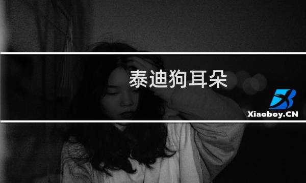 泰迪狗耳朵 - 泰迪狗直耳朵