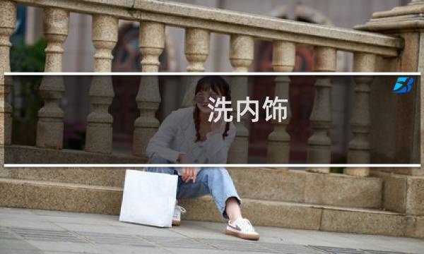 洗内饰 - 自己清洗汽车内饰
