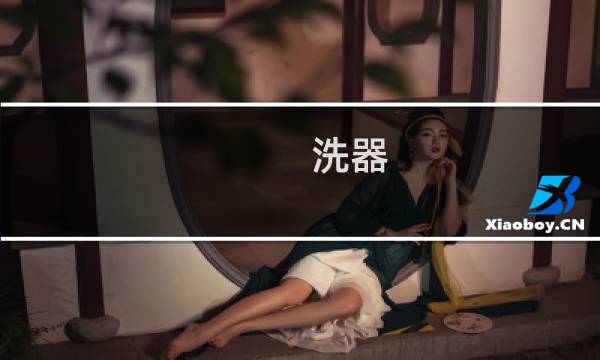 洗器 - x洗器
