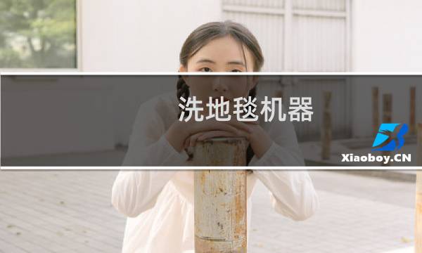 洗地毯机器 - 大型洗地毯机