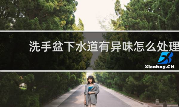 洗手盆下水道有异味怎么处理 - 厨房洗手盆有臭味怎么办