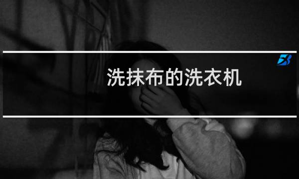 洗抹布的洗衣机 - 有没有专门洗抹布的洗衣机