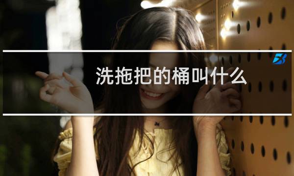 洗拖把的桶叫什么 - 带桶的拖把叫什么