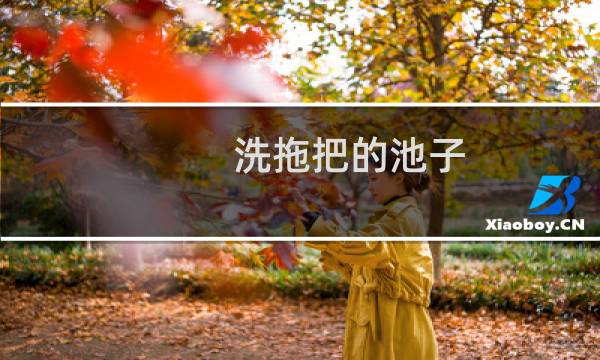洗拖把的池子 - 医院洗拖把的池子叫什么