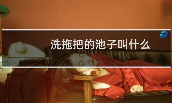 洗拖把的池子叫什么 - 浴室洗拖把的池子