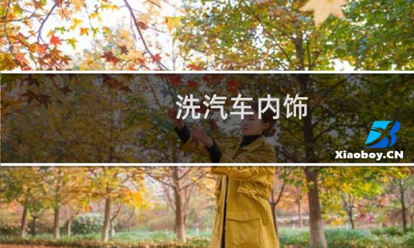 洗汽车内饰 - 汽车内饰怎么清洗?