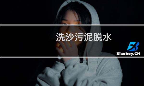 洗沙污泥脱水 -