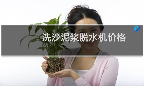 洗沙泥浆脱水机价格 - 河北景县洗沙泥浆脱水机价格
