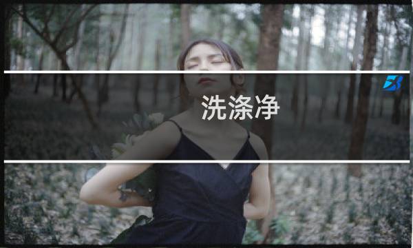 洗涤净 - 净物洗是什么