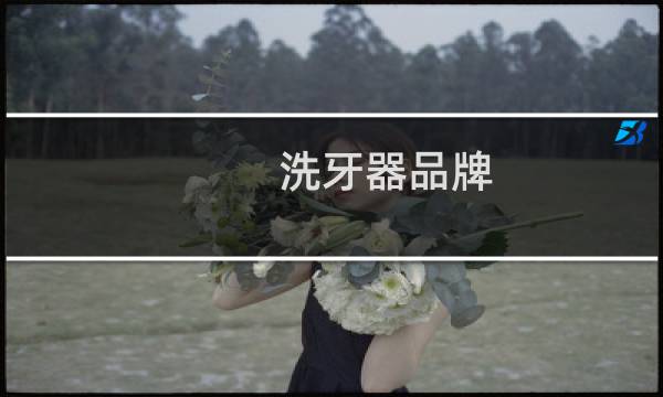 洗牙器品牌 - 冲牙器排行