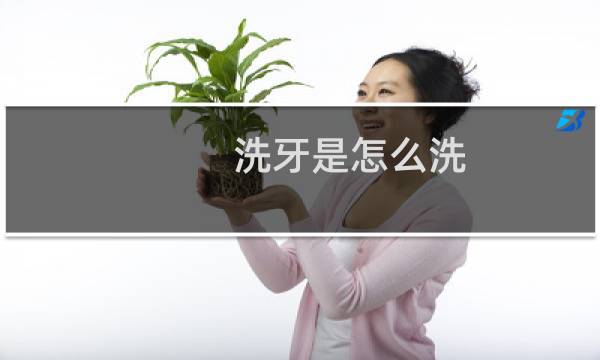 洗牙是怎么洗 - 洗牙是怎么洗的视频