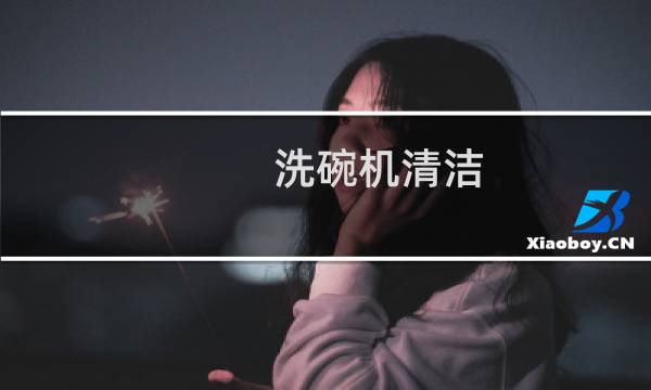 洗碗机清洁 - 洗碗机自身清洁